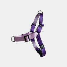 Cargar imagen en el visor de la galería, Arnes Cero Estres Nylon Bicolor