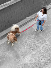 Cargar imagen en el visor de la galería, Trailla regulable doble mosquetón