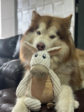 Cargar imagen en el visor de la galería, Peluche para perros