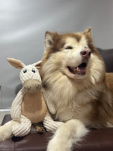 Cargar imagen en el visor de la galería, Peluche para perros