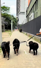 Cargar imagen en el visor de la galería, Pulpo paseador