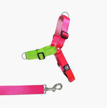 Cargar imagen en el visor de la galería, Arnes Cero Estres Nylon Bicolor