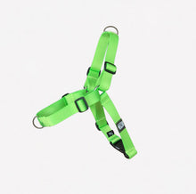 Cargar imagen en el visor de la galería, Arnés Antijalones A/N Verde Clásico NYLON (Producto Oficial)
