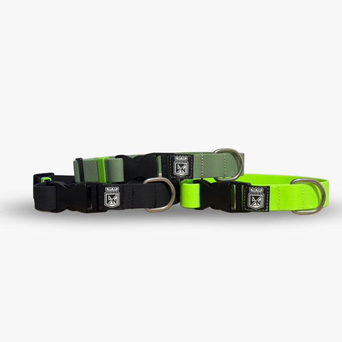 Collar AN (Producto Oficial) Personalización GRATIS