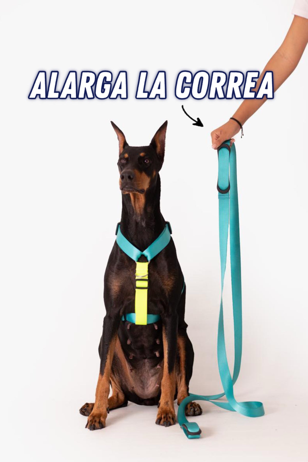 +trailla SILICONE