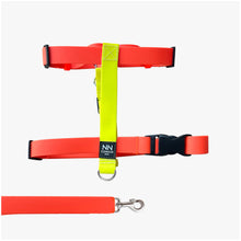 Cargar imagen en el visor de la galería, Antijalones H Silicone Sora (naranja y amarillo)
