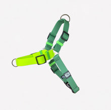 Cargar imagen en el visor de la galería, Arnés Atletico Nacional Verde Antioquia - Verde Neon SILICONE (Producto Oficial)
