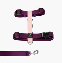 Cargar imagen en el visor de la galería, Antijalones H Silicone Alana
