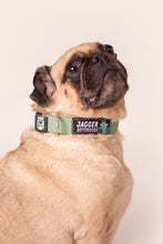 Cargar imagen en el visor de la galería, Collar AN (Producto Oficial) Personalización GRATIS
