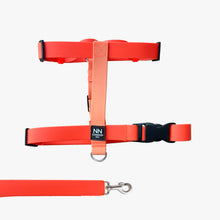 Cargar imagen en el visor de la galería, Antijalones H Silicone Orange
