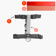 Cargar imagen en el visor de la galería, Antijalones H Silicone Orange
