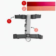 Cargar imagen en el visor de la galería, Antijalones H Silicone Rose (rojo con naranja claro)
